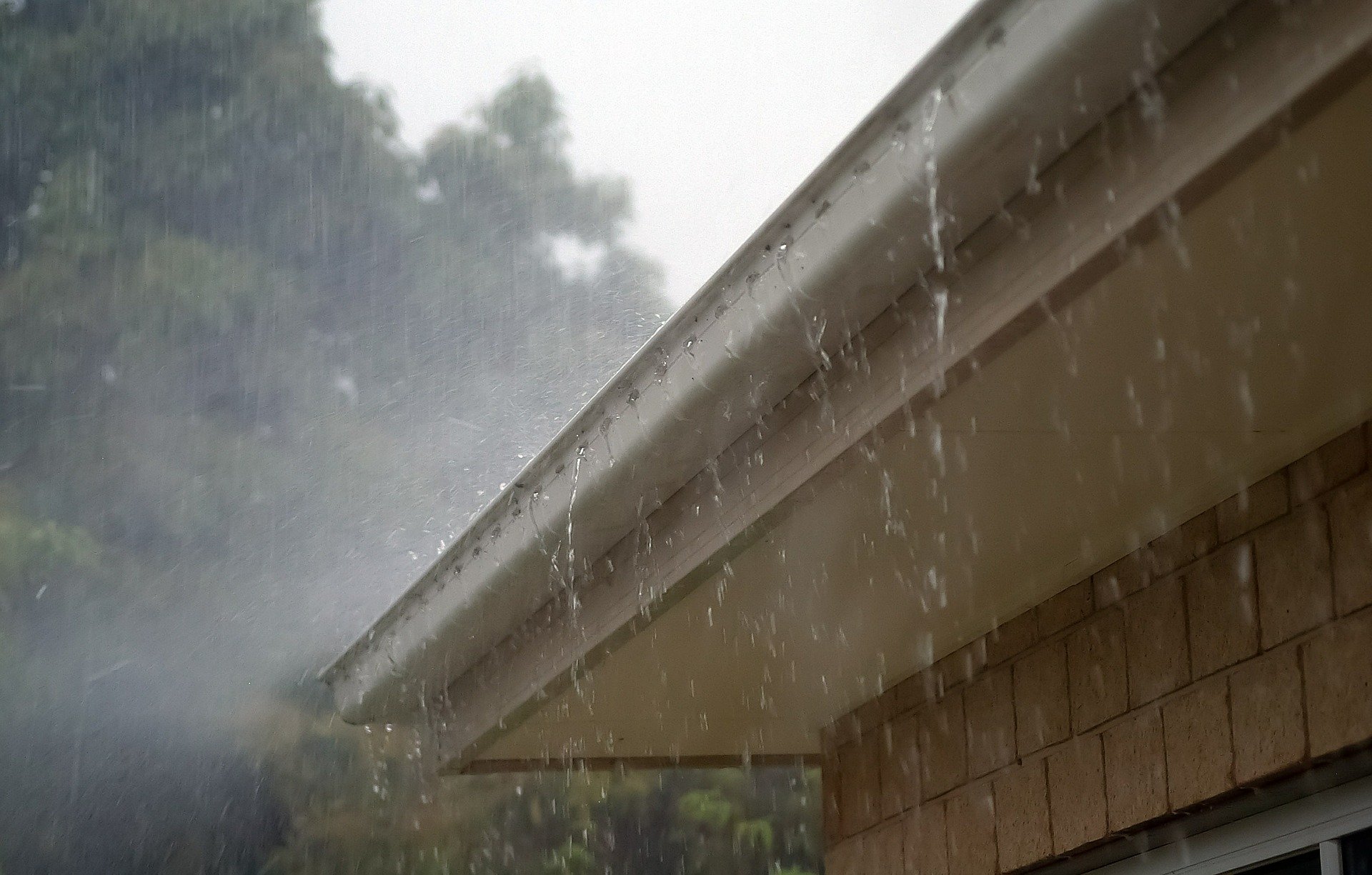 Protect Your Roof, Home and Foundation with Gutter Cleaning by Ryno Gutters