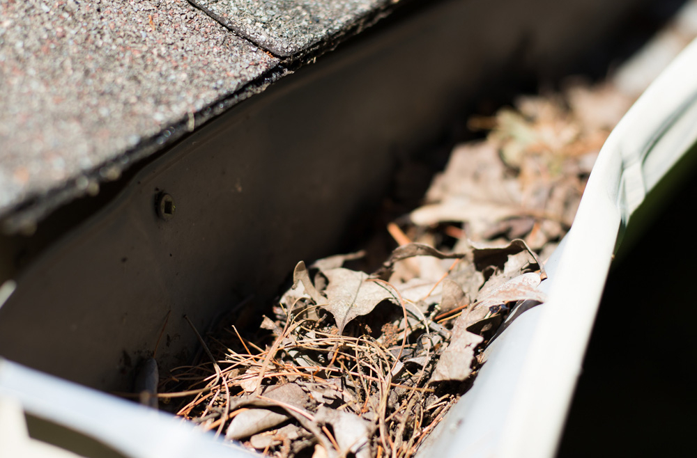 Why Do I Need Gutter Guards?