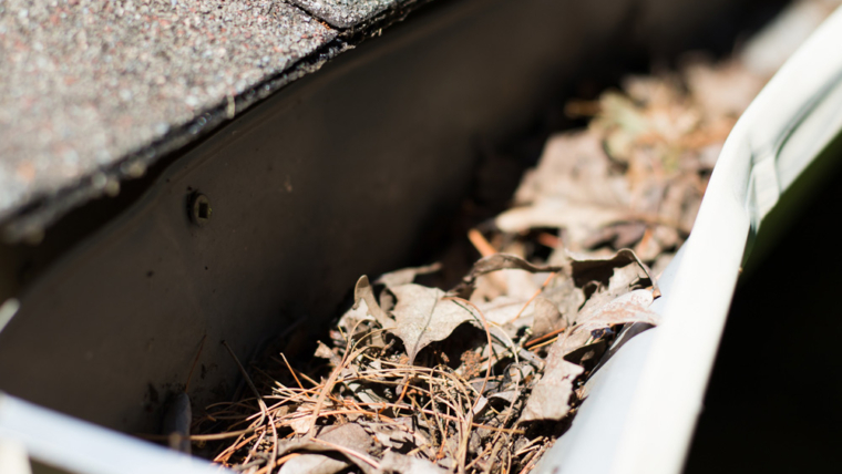 Why Do I Need Gutter Guards?